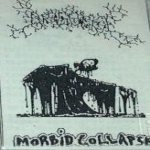 Disgorge - Morbid Collapse cover art