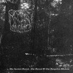 The True Nihilist - The Ancient Forest...The Forest of the Forgotten Wisdom