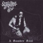 Sepulchral Cries - A Sombre Soul cover art