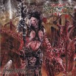 Supreme Pain - Nemesis Enforcer cover art