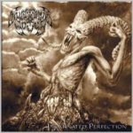 Suffering Souls - Incarnated Perfection cover art