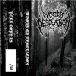 Woods of Desolation - Woods of Desolation cover art