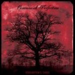 Ceremonial Perfection - Imagination's Chaos cover art
