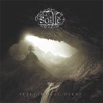Saille - Irreversible Decay cover art