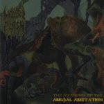 Infected Flesh - The Ascension of the Abysmal Aberration cover art