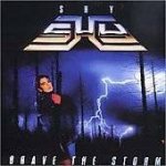 Shy - Brave the Storm cover art