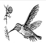 Blue Hummingbird on the Left - Bloodflower cover art