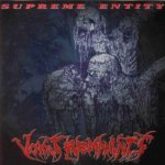 Vomit Remnants - Supreme Entity cover art