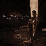 Grey Skies Fallen - Along Came Life cover art