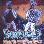 Soulfly - Back to the Primitive cover art