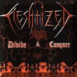 Fleshtized - Divide and Conquer