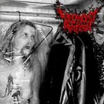Decrepit Artery - Mutilated Incinerated Necrosis Facial cover art