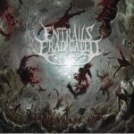 Entrails Eradicated - Viralocity cover art