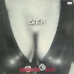 Bitch - Damnation Alley cover art