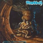 Wombbath - Internal Caustic Torments cover art