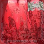 Flesh Torture - Physical and Mental Intensity by the Torture cover art