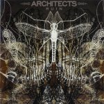Architects - Ruin cover art