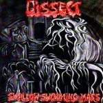 Dissect - Swallow Swouming Mass cover art