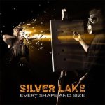 Silver Lake - Every Shape and Size cover art