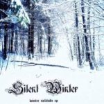 Silent Winter - Winter Solitude cover art