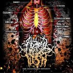 Abated Mass of Flesh - The Anatomy of Impurity cover art