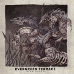 Evergreen Terrace - Dead Horses cover art