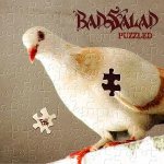 Bad Salad - Puzzled cover art