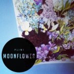 Plini - Moonflower cover art