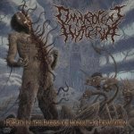 Omnipotent Hysteria - Forged in the Embers of Monolithic Devastation cover art