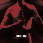 Godflesh - A World Lit Only by Fire cover art