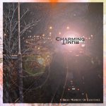 Charming Timur - A Brief Moment of Existence cover art