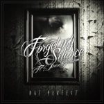 Forget My Silence - Not Perfect cover art
