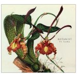 Botanist - VI: Flora cover art
