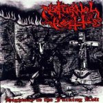 Nocturnal Hell - Highway to the Fucking Kvlt cover art