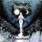 Amiensus - Ascension cover art