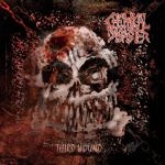 Chemical Disaster - Third Wound cover art