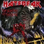 Hatebeak - The Number of the Beak cover art