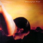 Porcupine Tree - On the Sunday of Life... cover art