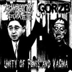 밤섬해적단 (Bamseom Pirates) / Gorzb - Unity of Penis and Vagina cover art