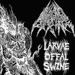 Abhomine - Larvae Offal Swine cover art