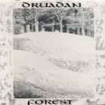 Druadan Forest - Mirkwood cover art