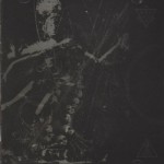 Alien Deviant Circus - En to Pan Omegas cover art