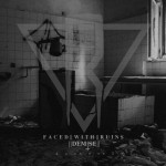 Faced With Ruins - Demise cover art