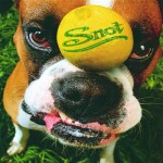 Snot - Get Some cover art