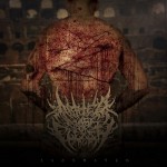 Abated Mass of Flesh - Lacerated cover art