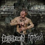 Fetal Decay - Fetal Decay / Filthy Flesh cover art