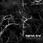 Devlsy - A Parade of States