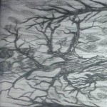 Conjuro - Engolindo Almas e Espíritos da Noite / Árvore da Morte cover art