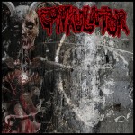 Gonkulator - Reborn Through Evil cover art