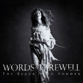 Words of Farewell - The Black Wild Yonder cover art